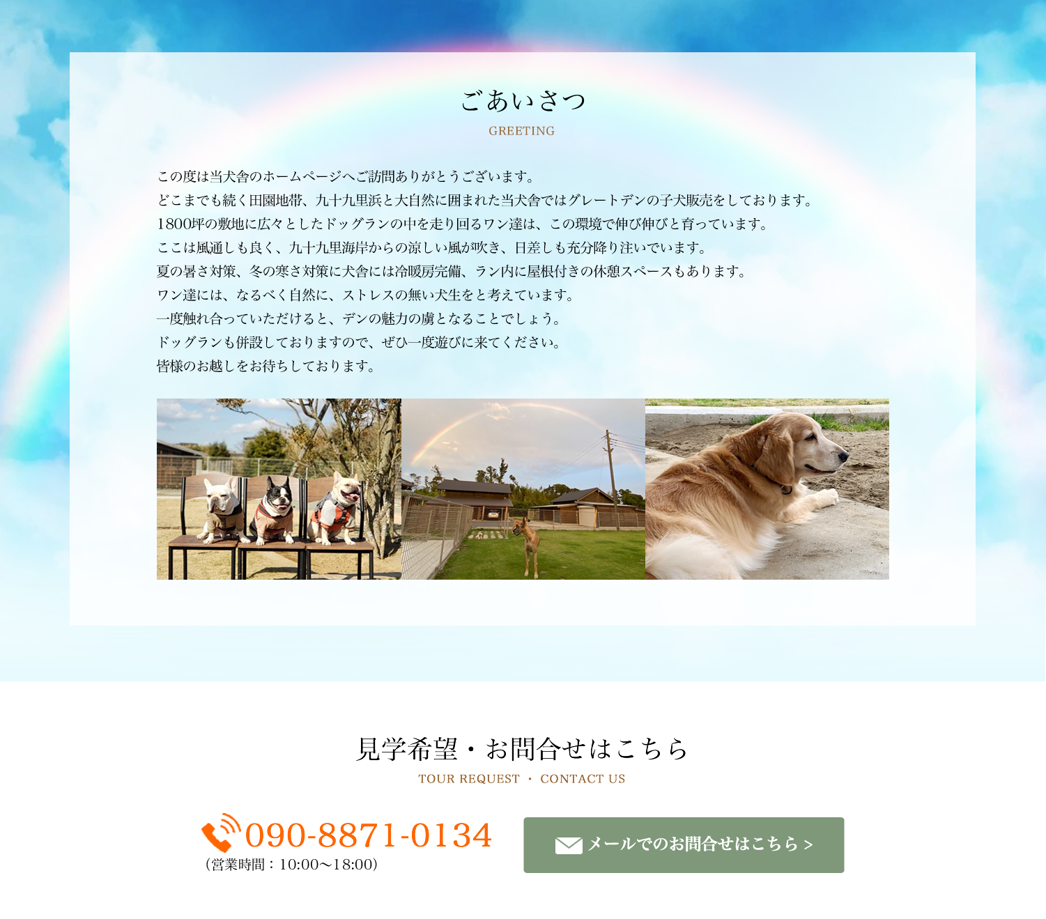 ドッグラン Den園 l 千葉県山武郡横芝光町