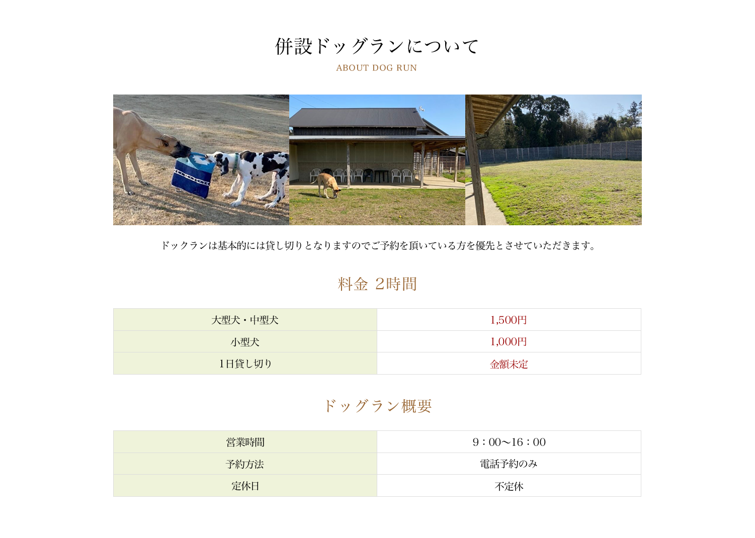 ドッグラン Den園 l 千葉県山武郡横芝光町
