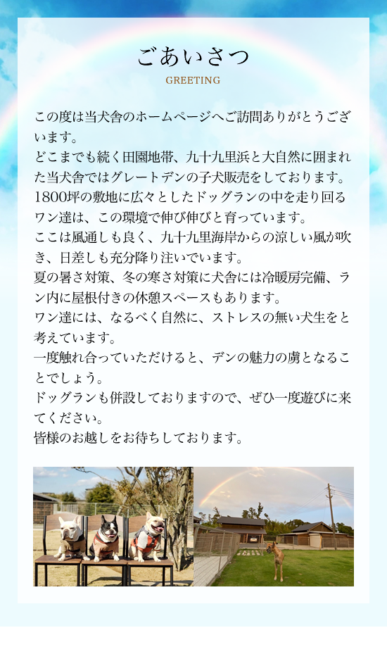 ドッグラン Den園 l 千葉県山武郡横芝光町