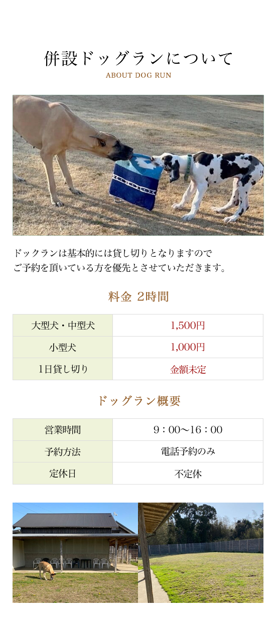 ドッグラン Den園 l 千葉県山武郡横芝光町